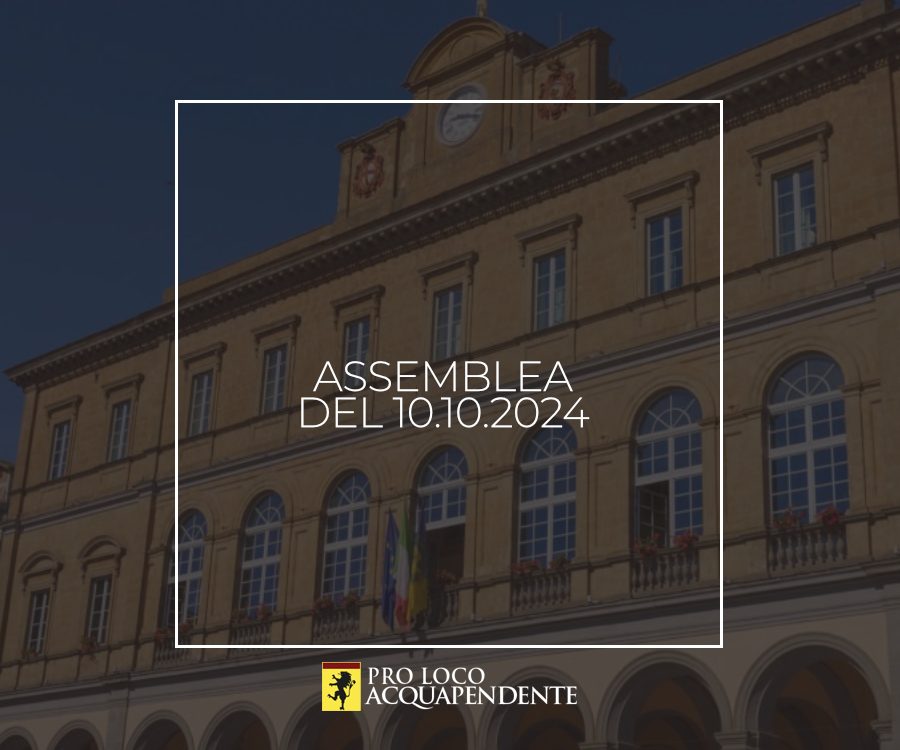 Assemblea 10 10 204